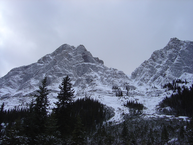 DSC03464